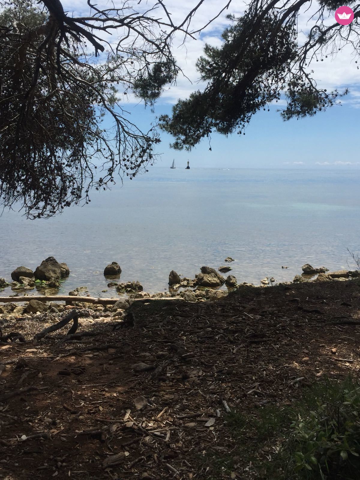 Jeanneau Cap Camarat 6.5 Wa Série 3 De 2019 à Antibes à louer