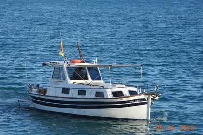 Charter Motorboat Majoni 42 Palma de Mallorca