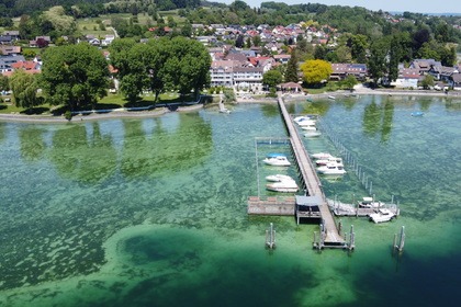 Stingray 225 SX Limited Edition 300 PS