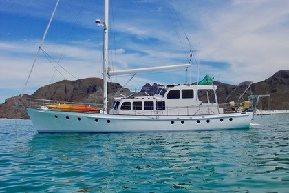 Miete Motorboot Alan Mummery Custom La Paz