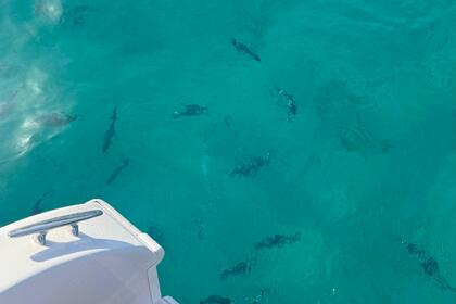 MALLORCA LUXURY BOATS