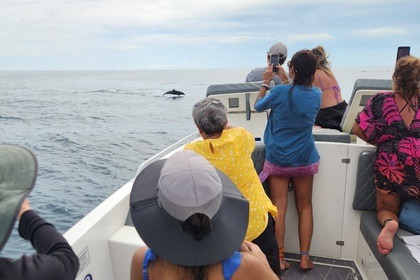 Todomar 38' Boat rental in Panama City, Panama