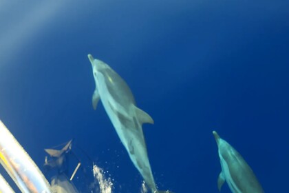 Czarter Jacht żaglowy Bavaria 46 Jednostka regionalna Heraklion