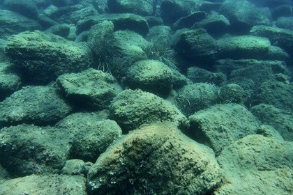 Procida: Excursion en bateau avec plongée en apnée et photos sous-marines