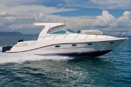 Charter Motorboat Oryx 40 Abu Dhabi