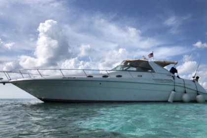Hyra båt Motorbåt Sea Ray Sundancer 14m Tulum