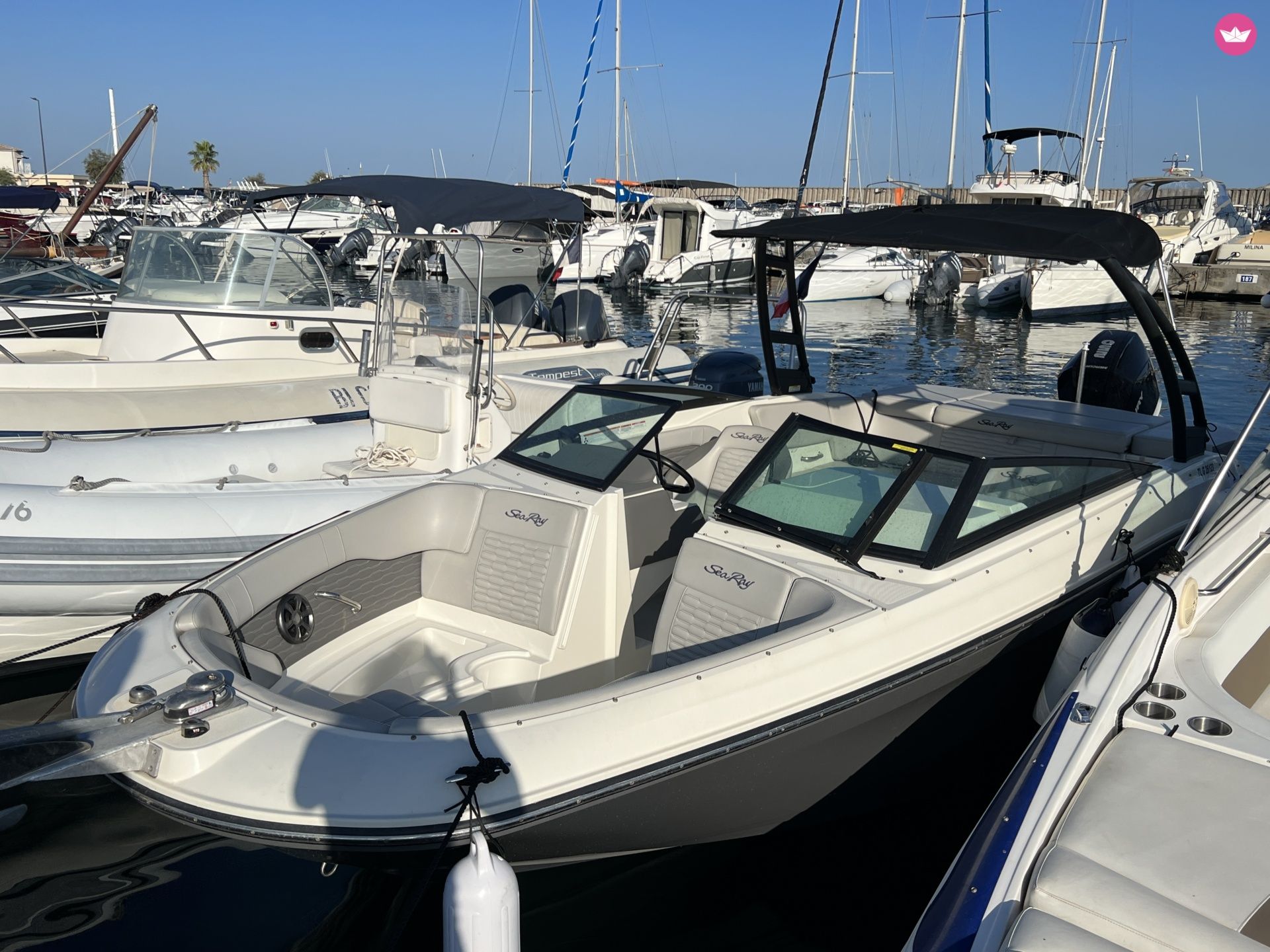 Bateau à moteur Sea Ray SPX 230 250cv 2