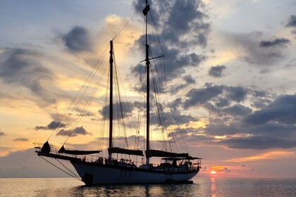 Hire Sailboat Buda McIntosh Bud McIntosh Appledore ll Phuket
