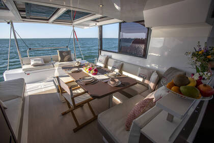 NEW Bali CatSpace 2026 Little Monkey