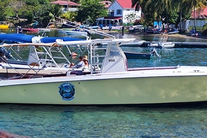 Verhuur Motorboot Contender Contender 12m Guadeloupe
