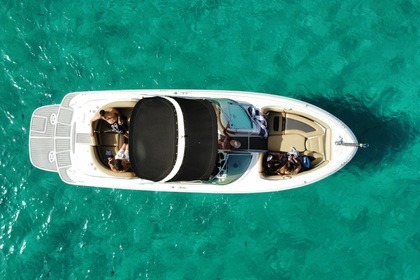 Sea Ray 295 Bow Rider