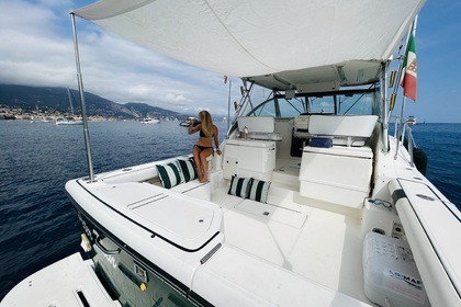 Pursuit 3400 "Express" 12 metres