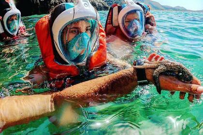 Co.me.na Gozzo Torrese