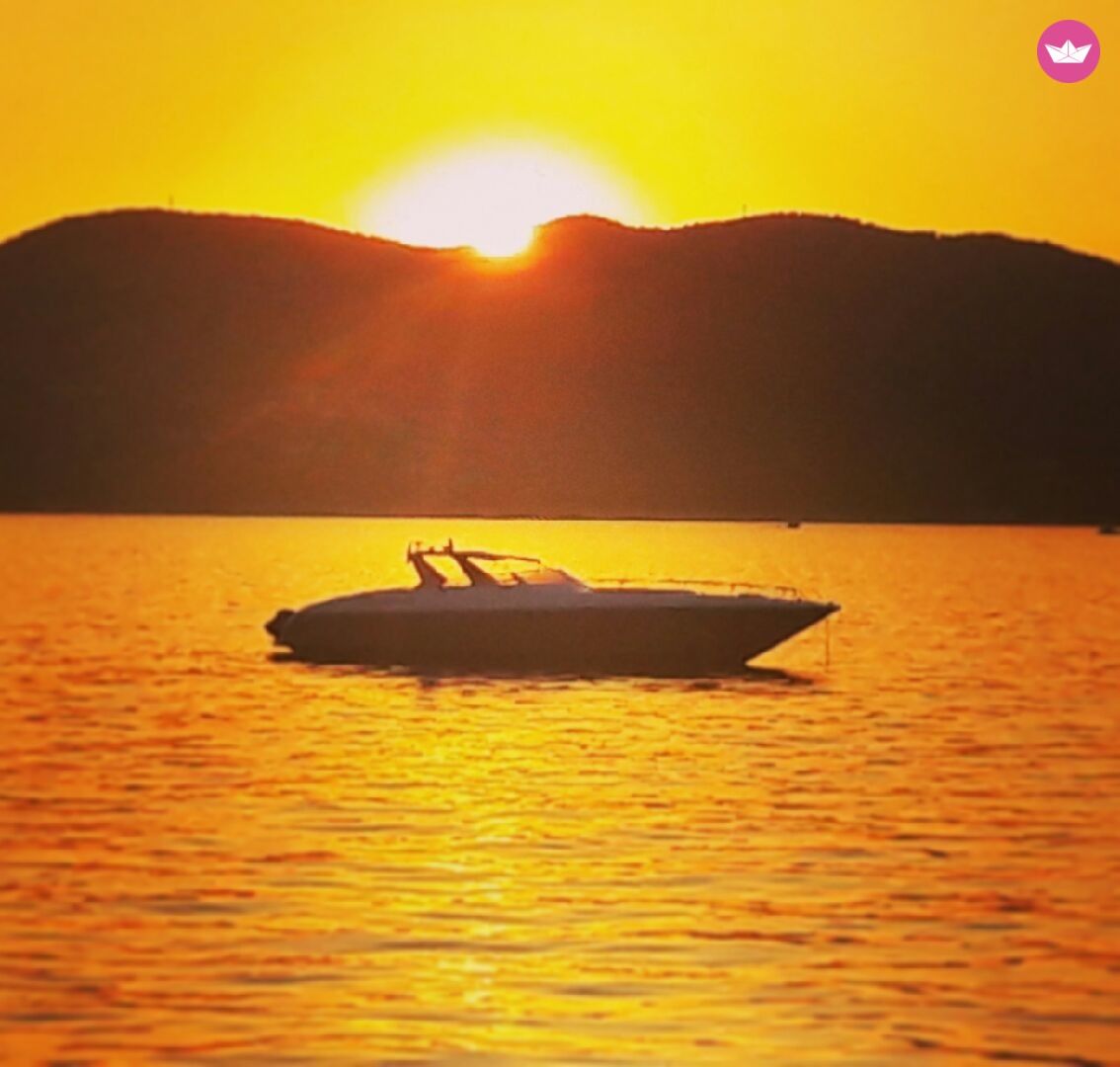 Motorboat Technomarine Cobra 65  