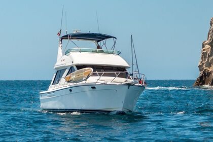 Alquiler Lancha Bayliner 42 Cabo San Lucas
