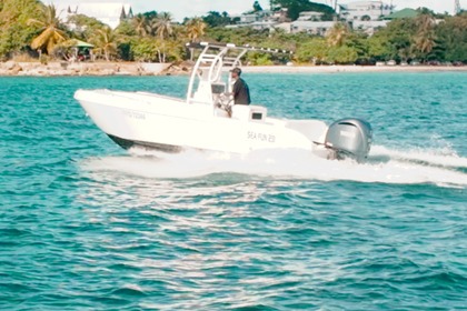 Forboat 23 – Freedom, authenticity and pure boating pleasure in Guadeloupe