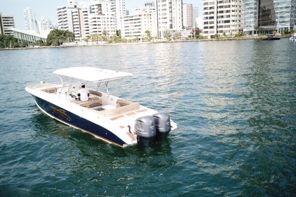 Bote deportivo de lujo hasta 20 personas