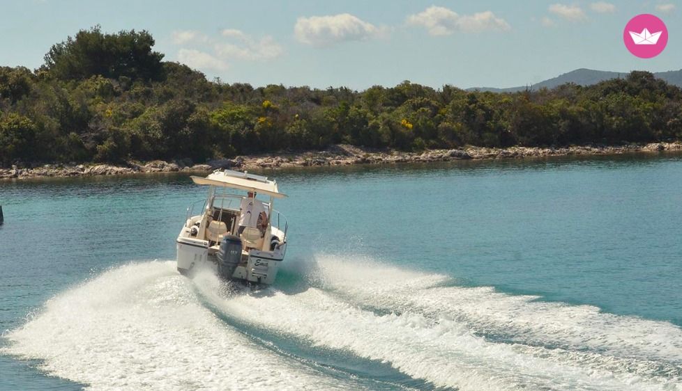 Bayliner Trophy 1802 in Ugljan for hire