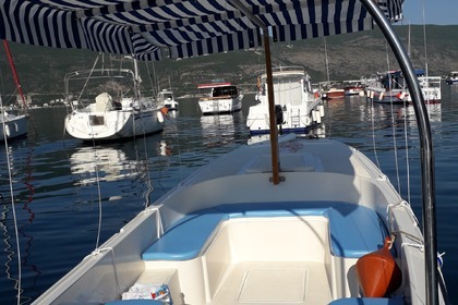 Daily 3 hour long boat trips