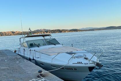 Miete Motorboot Raffaelli Typhoon middle day 40 Palau