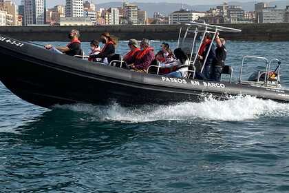 semirrigida 8 metros 300 cv