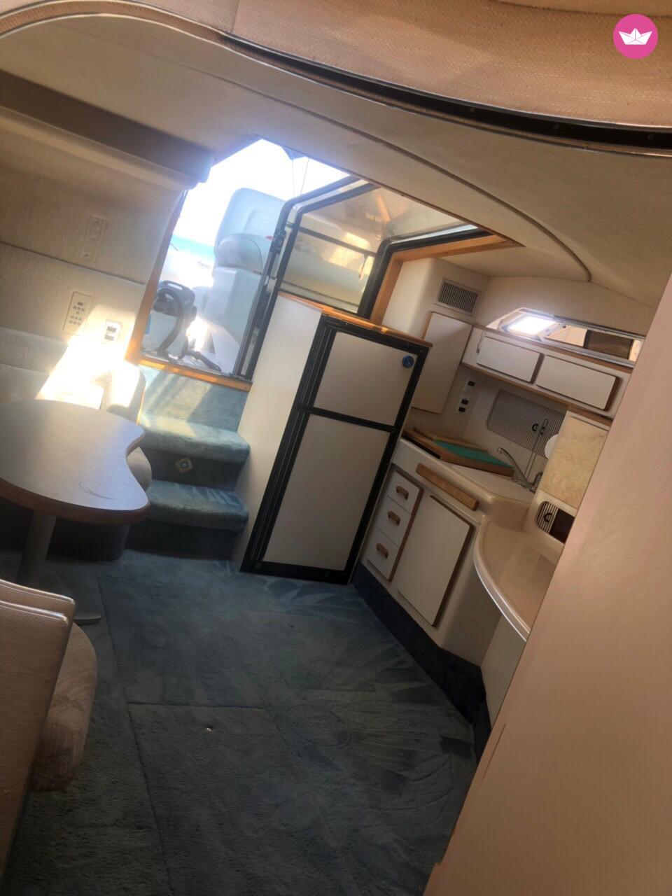 Motorboat Sea Ray 455  