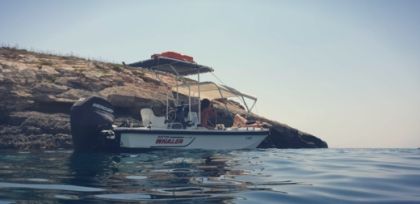 Charter Motorboat Boston Whaler Montauk Saint Paul's Bay