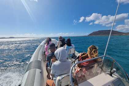 Location Semi-rigide Bsc 750 Fuerteventura