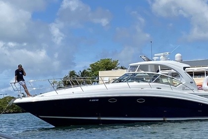 Rental Motorboat Sea Ray Sundancer 45 Miami Beach
