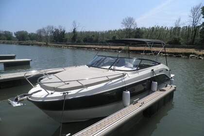 Quicksilver Activ 805 de 2019