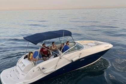 Hire Motorboat Sea Ray 260 SD Marbella