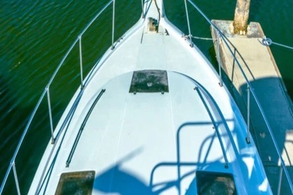 Luhrs 360 Sportfisher