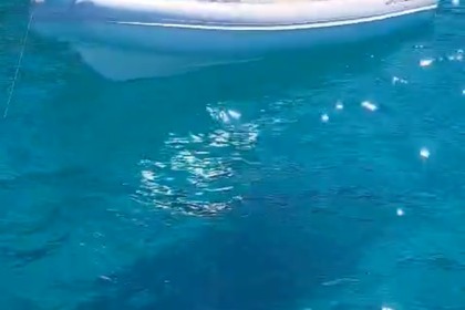 Rental RIB Astronautica Sirius 6.4 Palermo