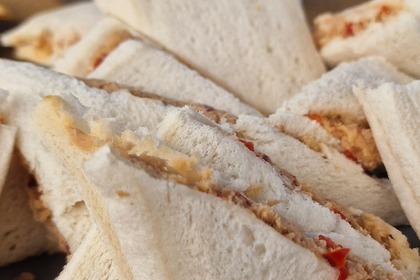 Mediterranee 47 hispedage y passeos 2,3,4 y 8h