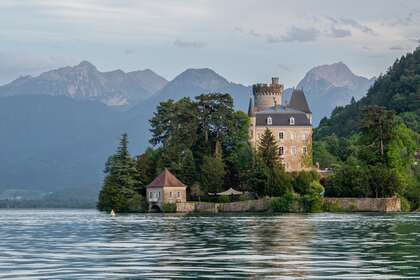 TIGER MARINE PROLINE 750