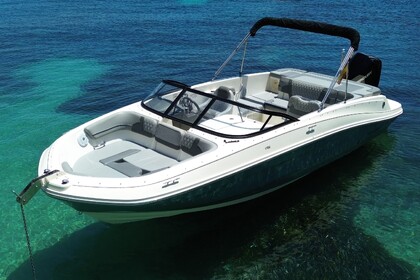 Bayliner VR6 con arco de Waveboard