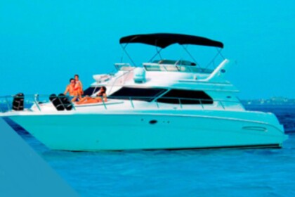 Miete Motorboot Sea Ray 450 Sundancer Cancún