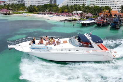 Alquiler Yate a motor Sea Ray SUNDANCER Cancún