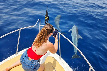 ETAP Bertram 28 Tenerife dedicated to fishing