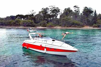 Rental Motorboat Sunseeker 35 Portofino Cannes