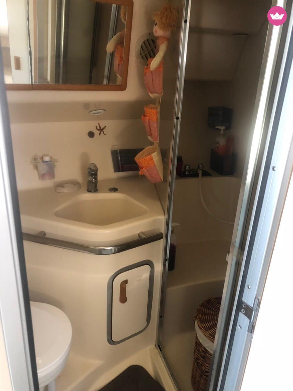 Motorboat Sea Ray 455 for rental