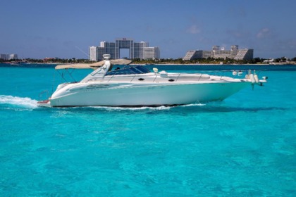 Charter Motorboat Sea Ray sundancer Cancún