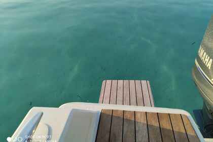 Skippered tours with Atlantic Marine Suncruiser 690