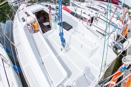 Czarter Sedna 26 NOWA