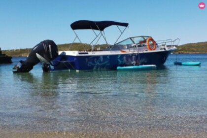 Hire Motorboat Wellcraft Phyton 24 Coast Mahón