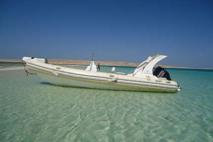 Charter RIB Bullet Speedboats Custom Hurghada