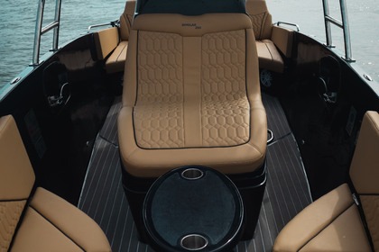 SINGLAR290 SPORT Special Edition 2022