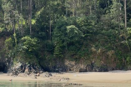 Premium "DEATH COAST" RIB with Style and Power in A Coruña