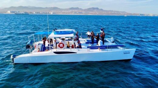 catamaran party boat cabo san lucas