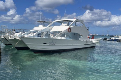 Rental Catamaran Private Isla Saona Catamaran 2018 Bávaro
